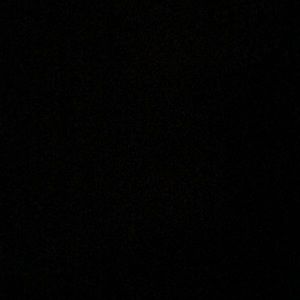 Meet your Posher, Tony